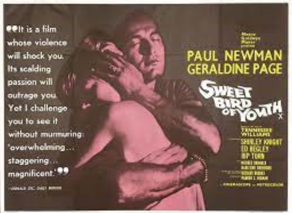 渇いた太陽の画像