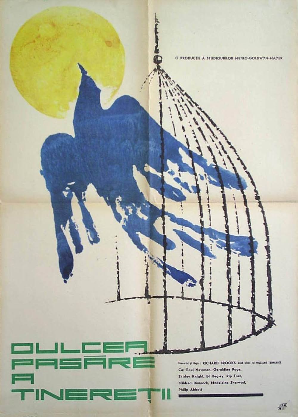 渇いた太陽の画像