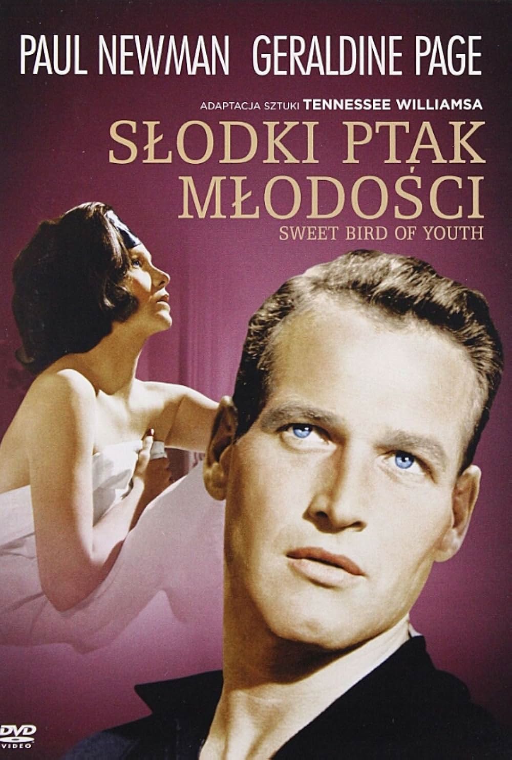 渇いた太陽の画像