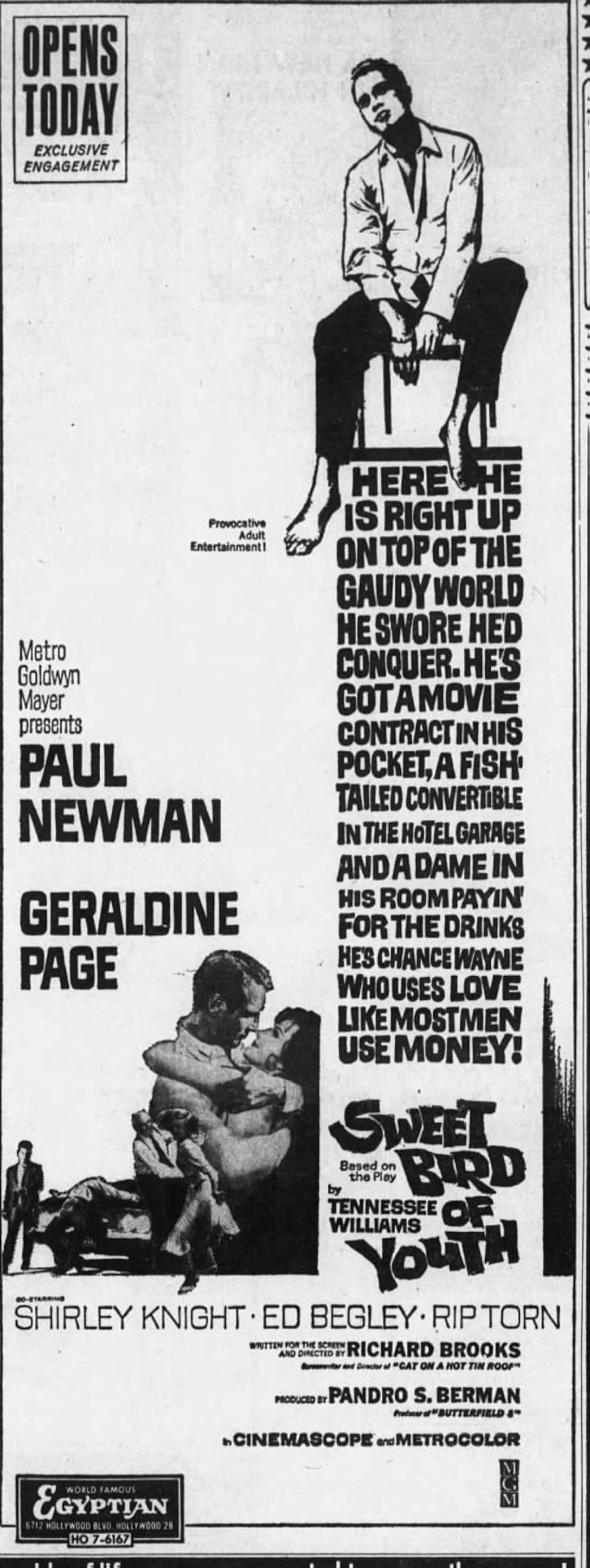 渇いた太陽の画像