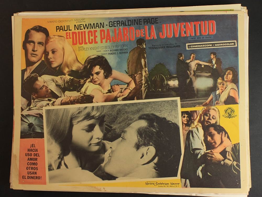 渇いた太陽の画像