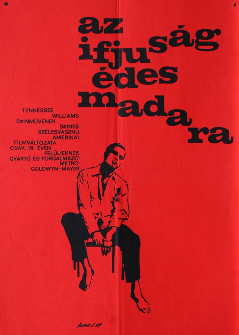 渇いた太陽の画像