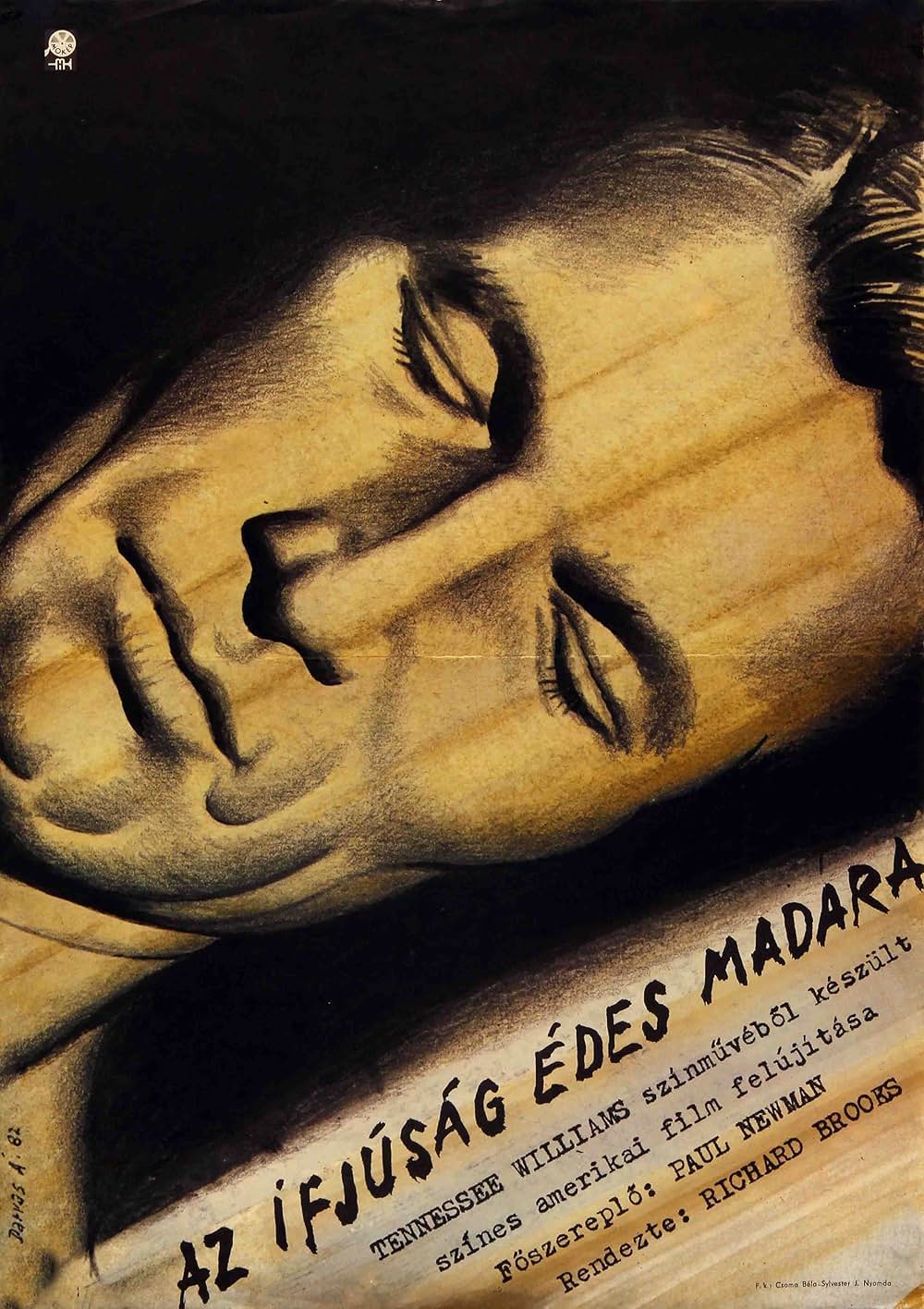 渇いた太陽の画像