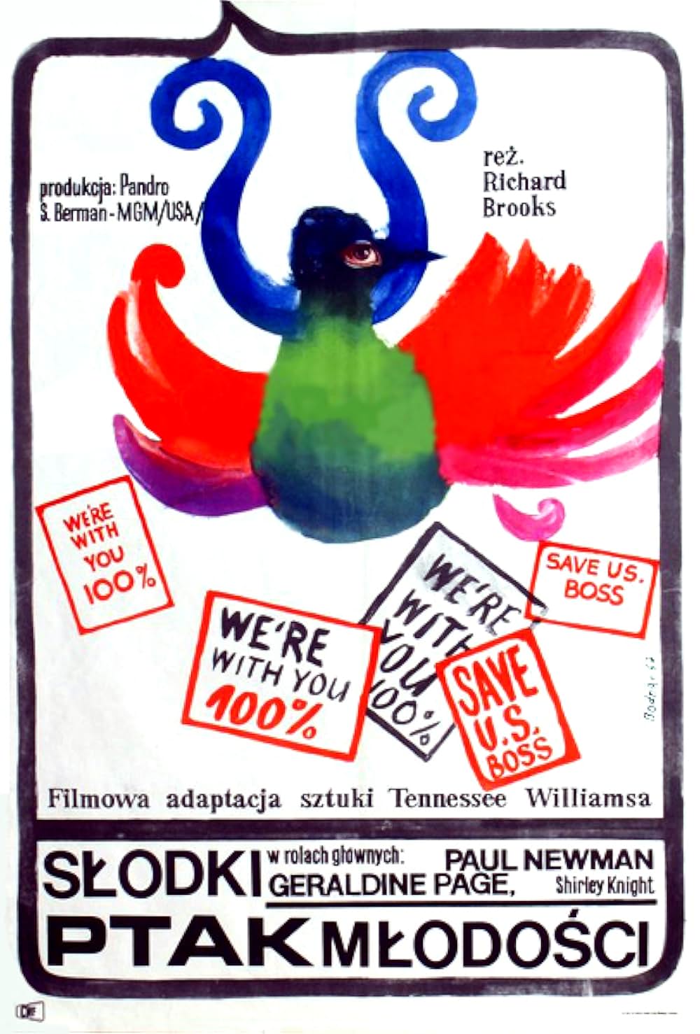 渇いた太陽の画像