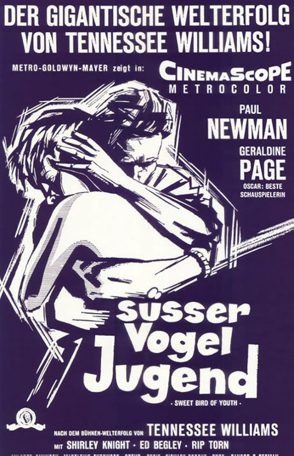 渇いた太陽の画像