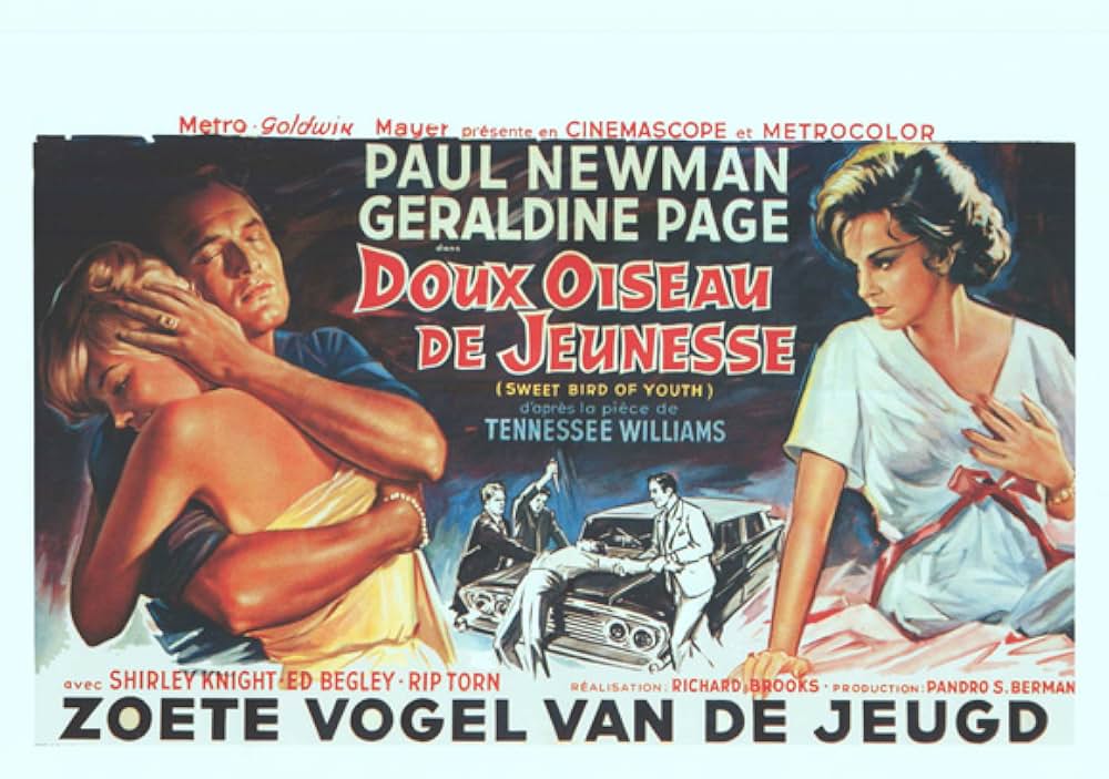 渇いた太陽の画像