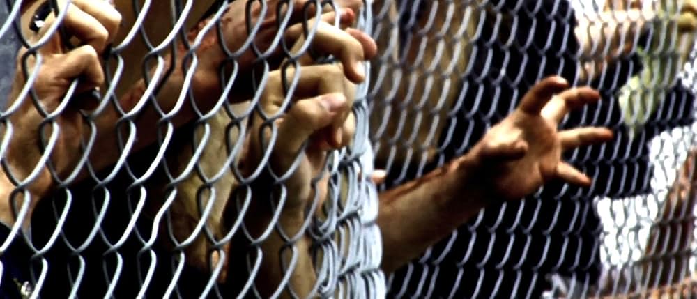 感染創世記の画像