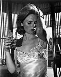 「酒とバラの日々」リー・レミックの画像