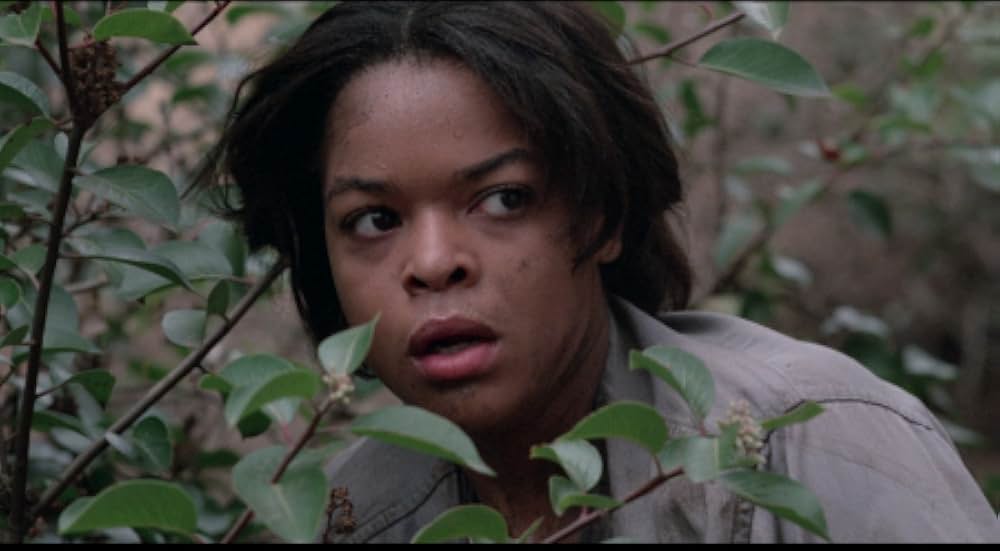 ハリウッド夢工場／オスカーを狙え！！の画像