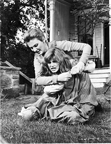 奇跡の人の画像