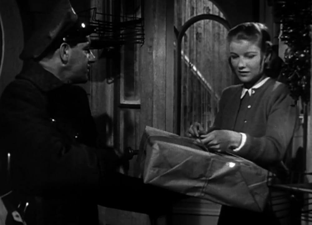 朝はまだ来ないの画像