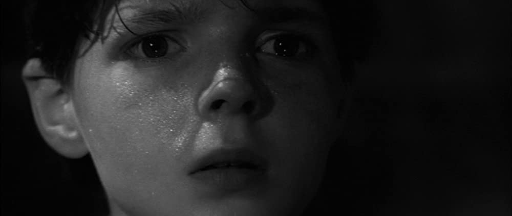 「回転」Martin Stephensの画像