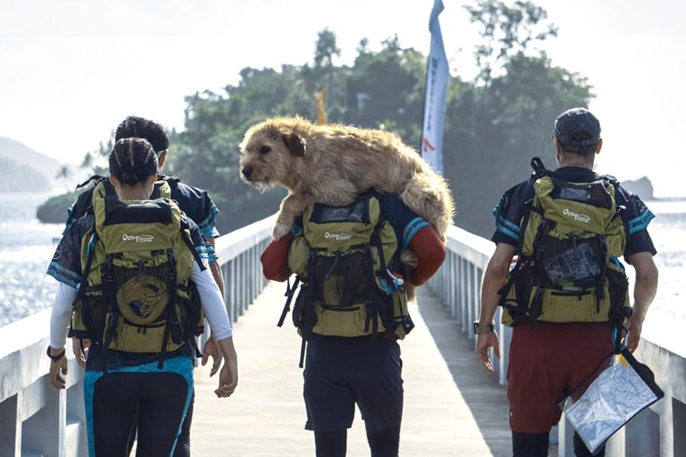 Arthur the King（原題）の画像