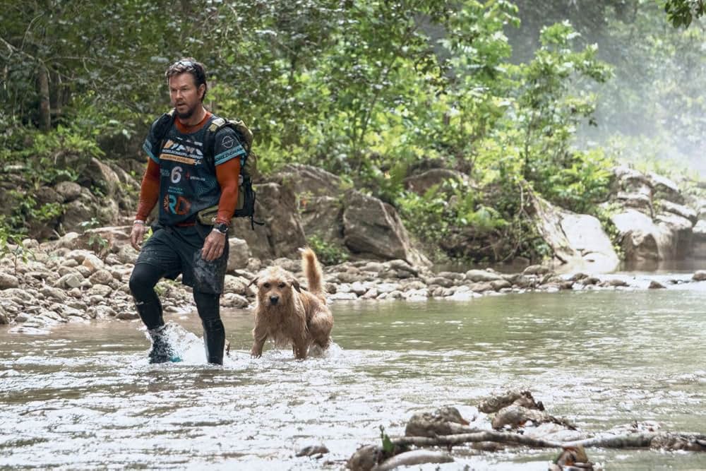 Arthur the King（原題）の画像