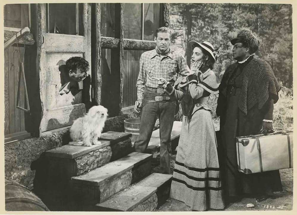 コロラドの争いの画像