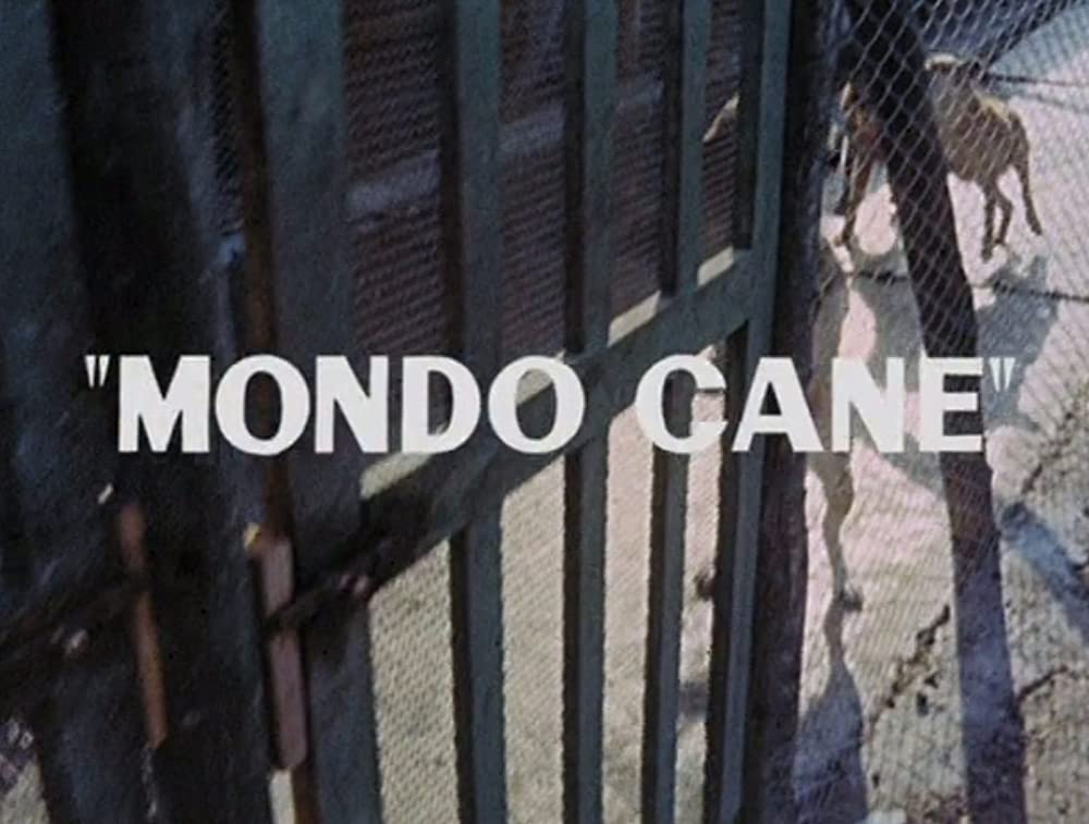 世界残酷物語の画像