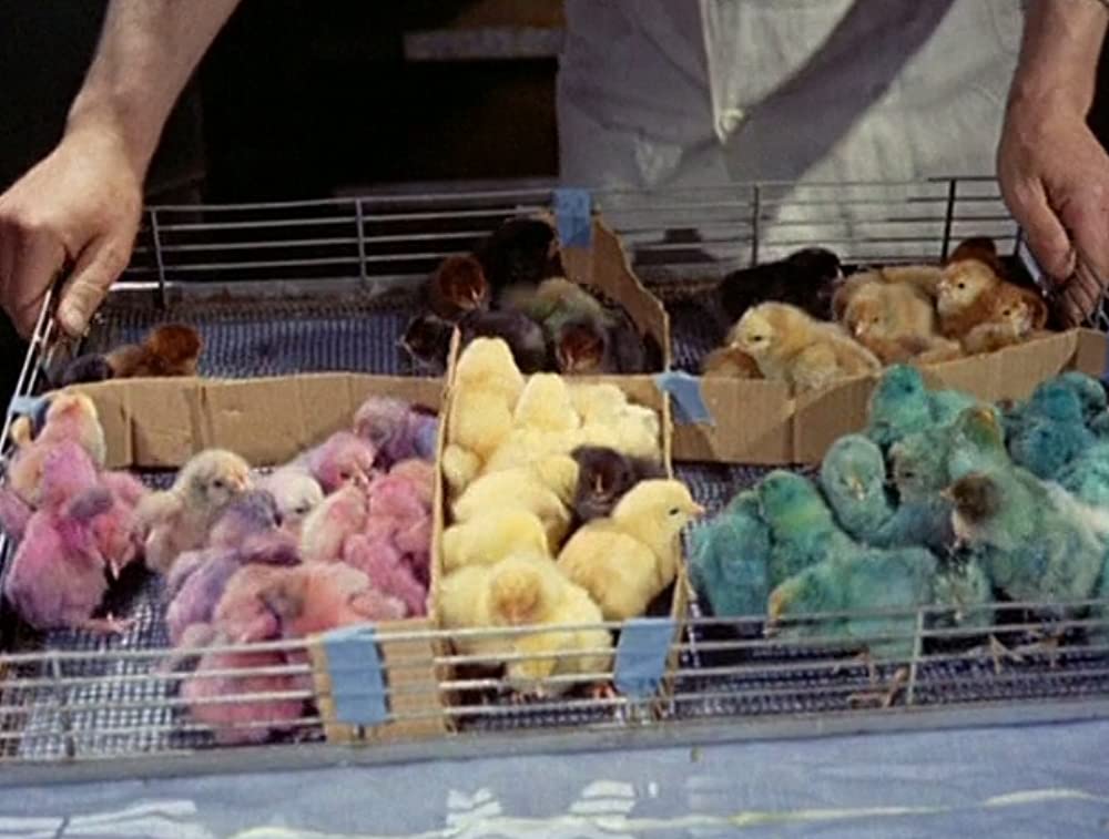 世界残酷物語の画像