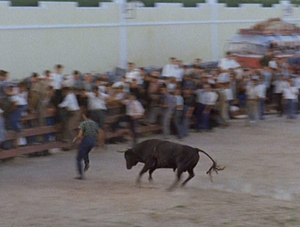 世界残酷物語の画像