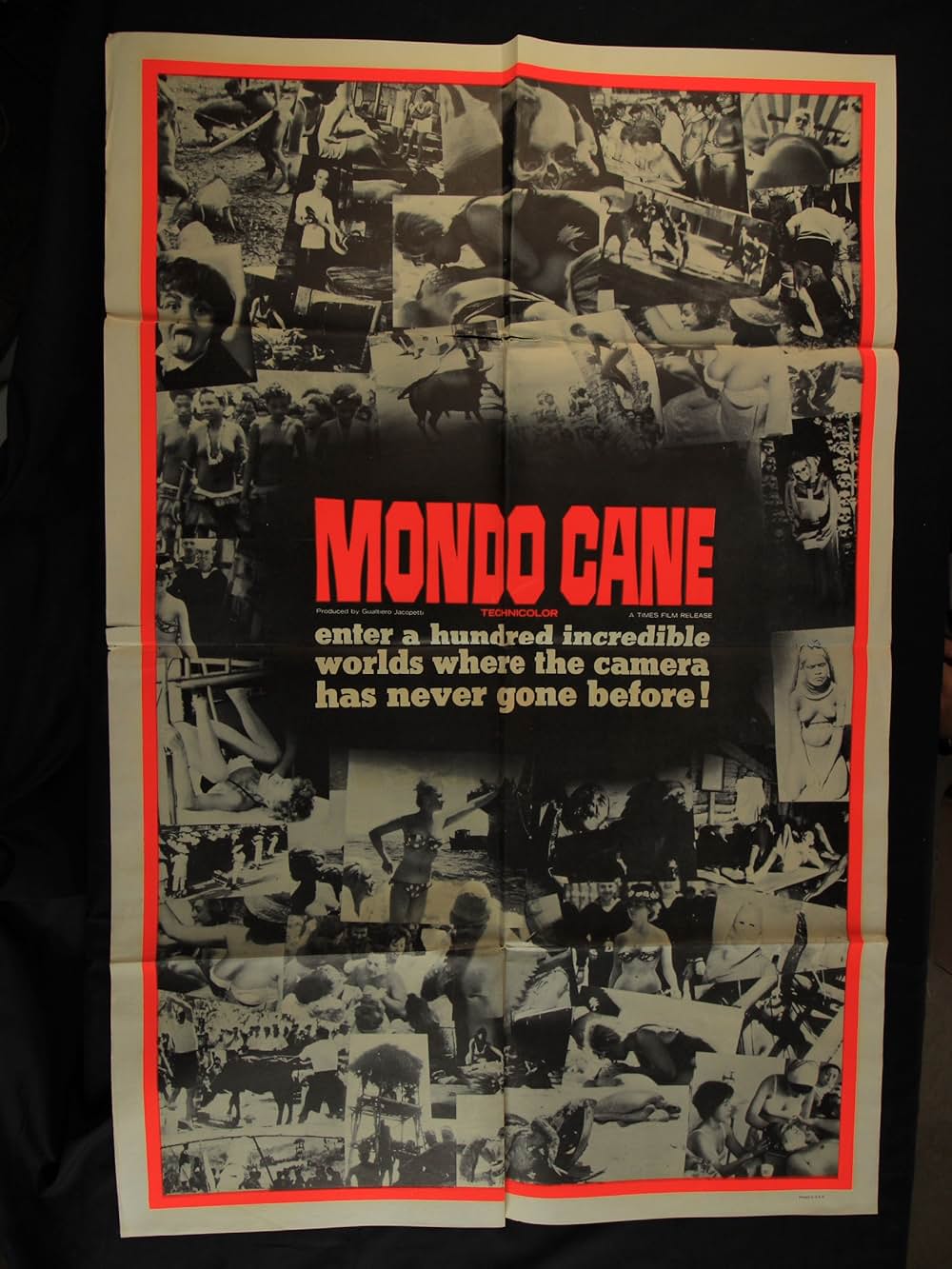 世界残酷物語の画像