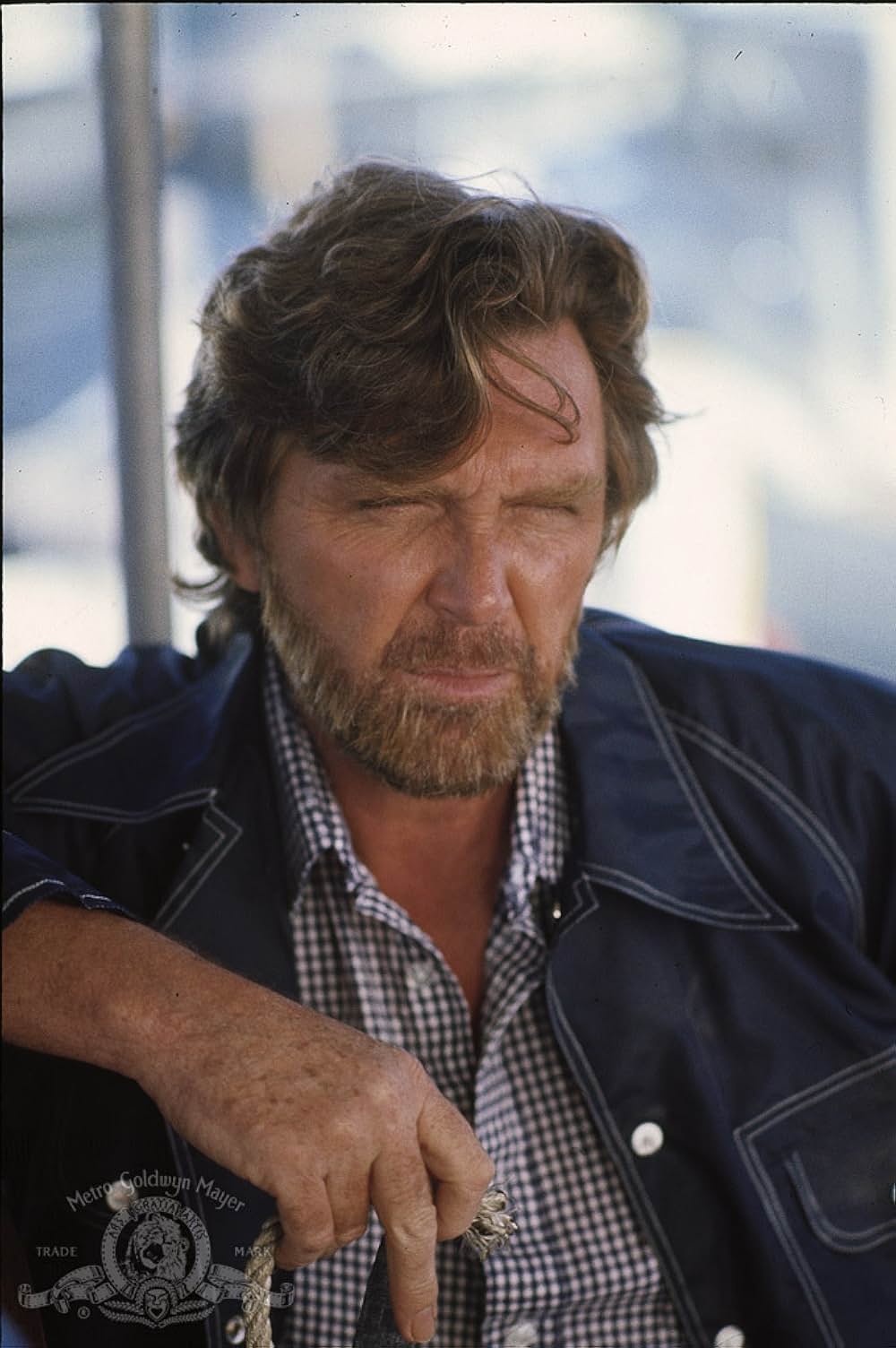 巨大蟻の帝国の画像