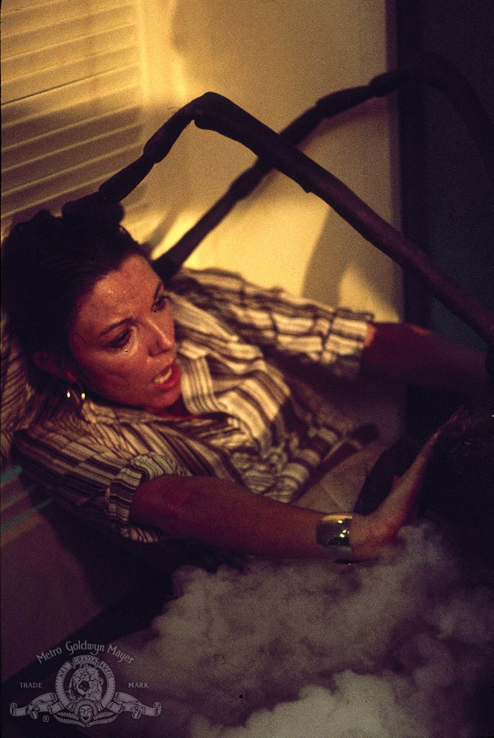 巨大蟻の帝国の画像