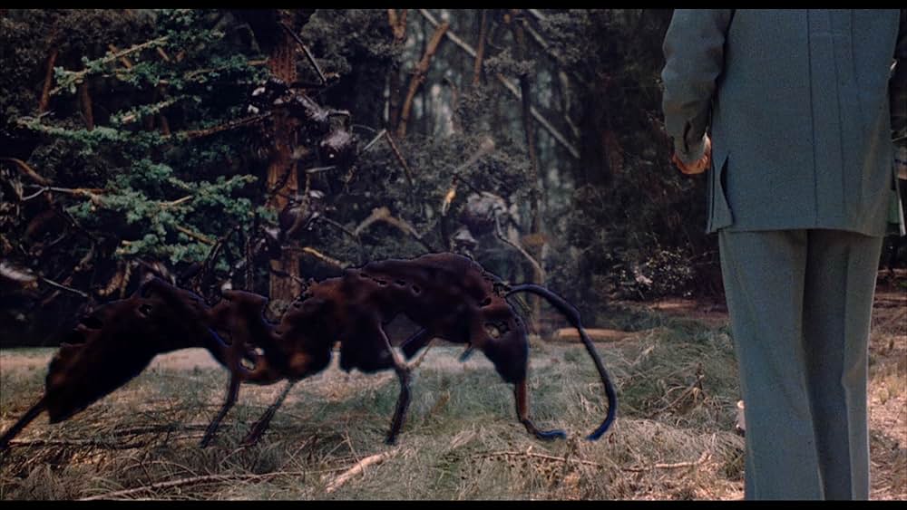 巨大蟻の帝国の画像