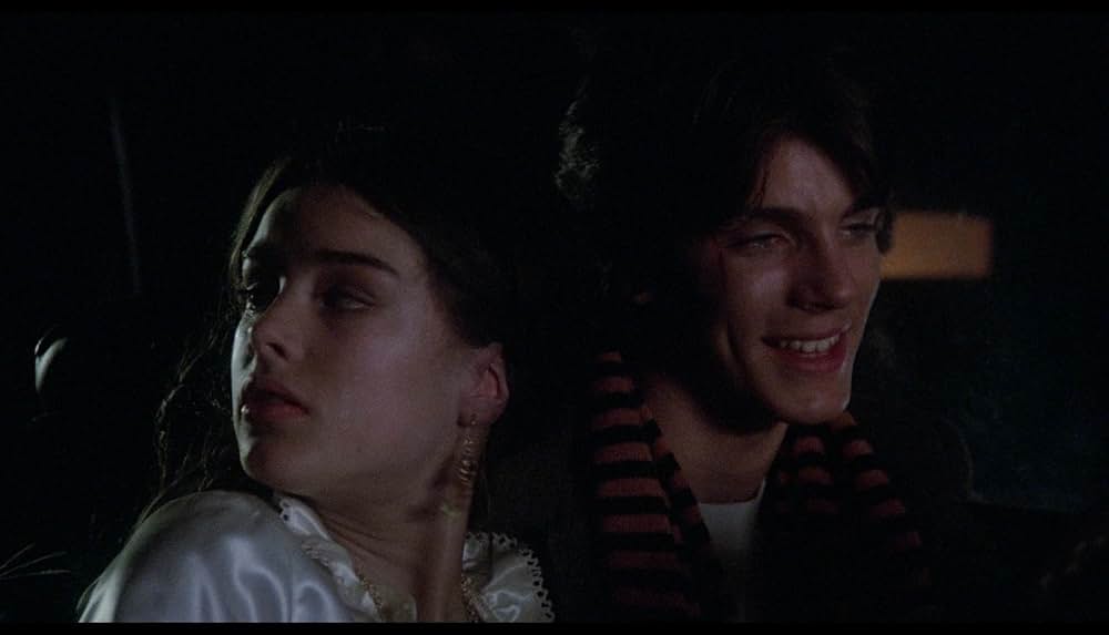 キング・オブ・ジプシーの画像