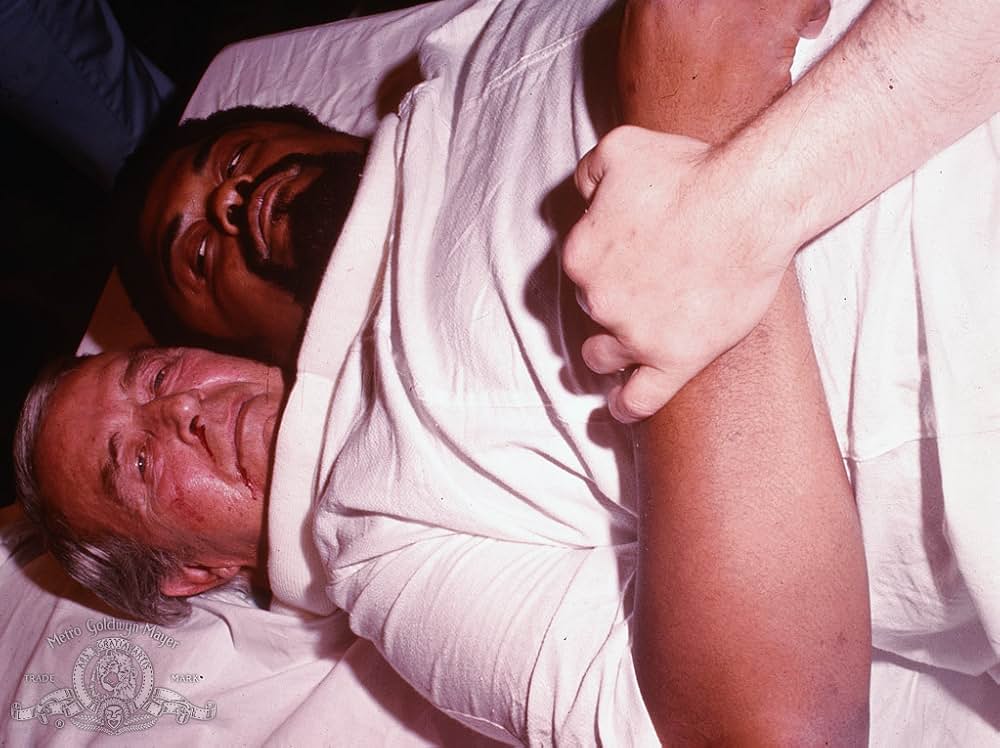 Mr.オセロマン／2つの顔を持つ男の画像