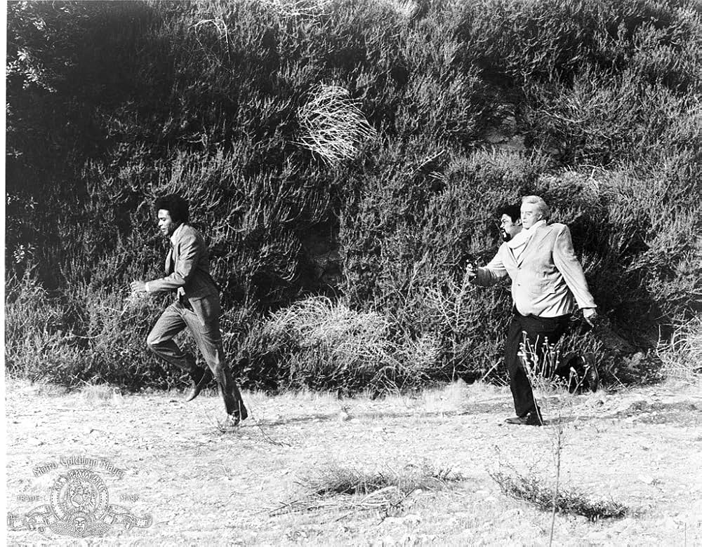 Mr.オセロマン／2つの顔を持つ男の画像