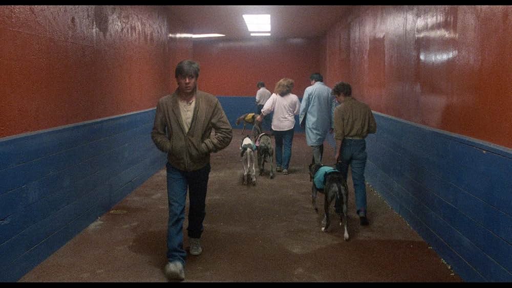 ブルー・シティ／非情の街の画像