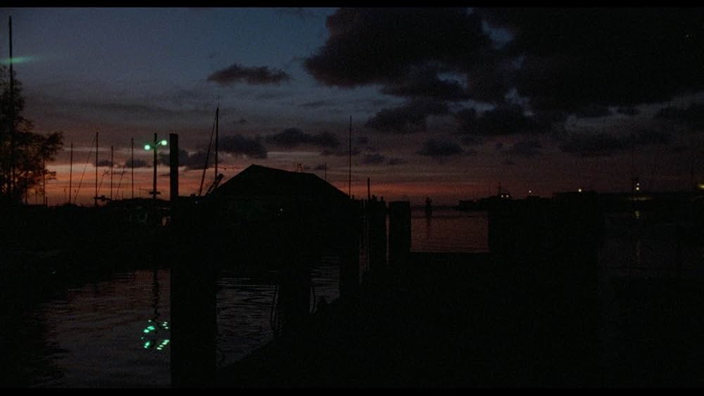 ブルー・シティ／非情の街の画像