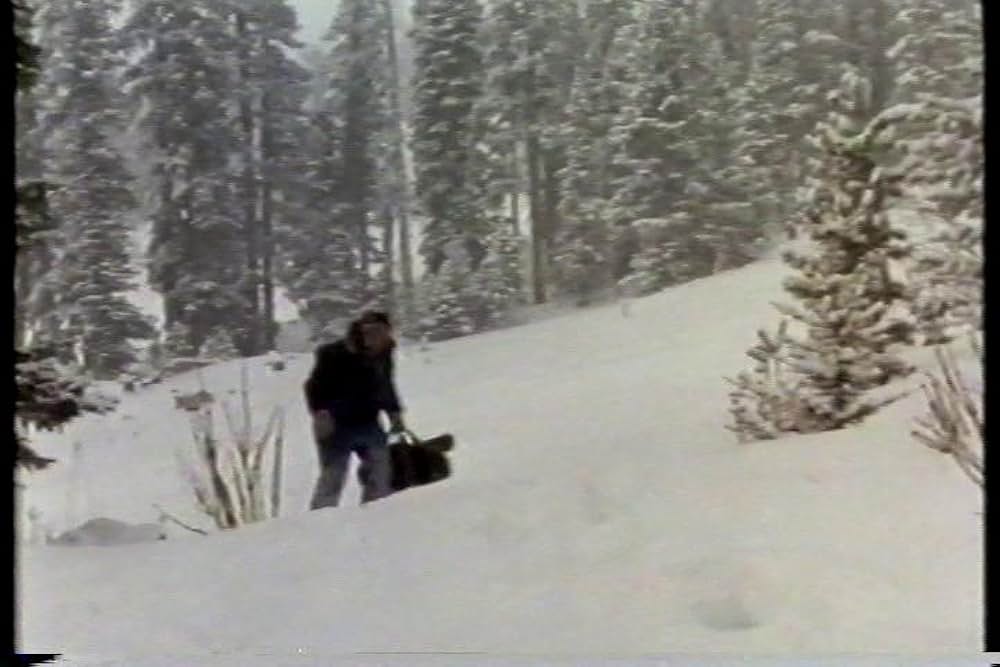 ホワイト・フューリーの画像