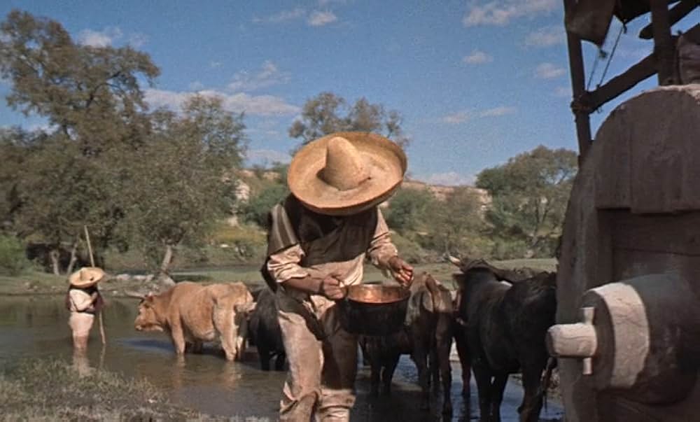 メキシコの暴れん坊の画像