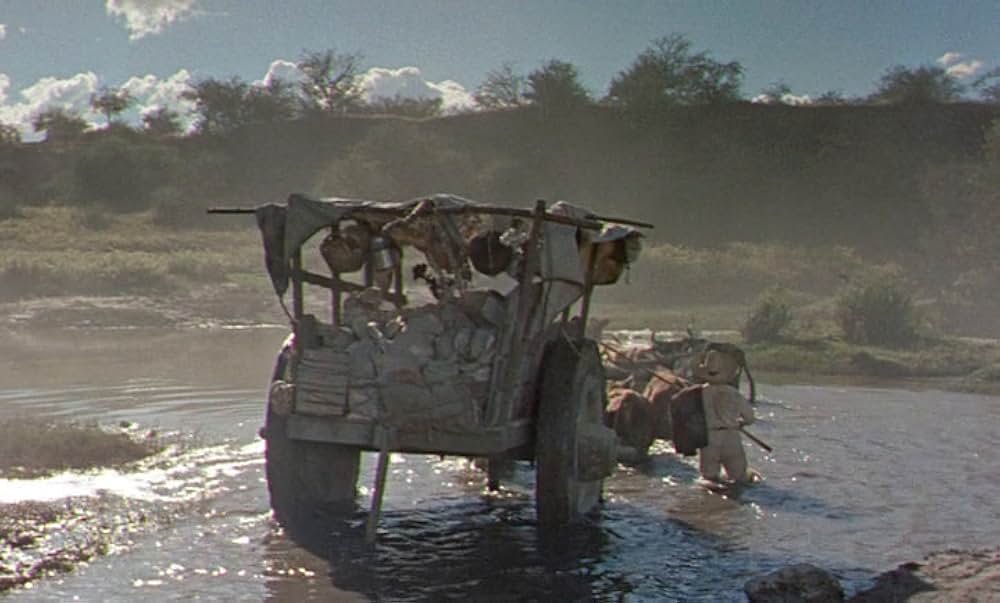 メキシコの暴れん坊の画像