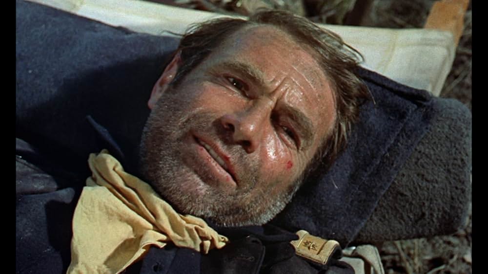 メキシコの暴れん坊の画像