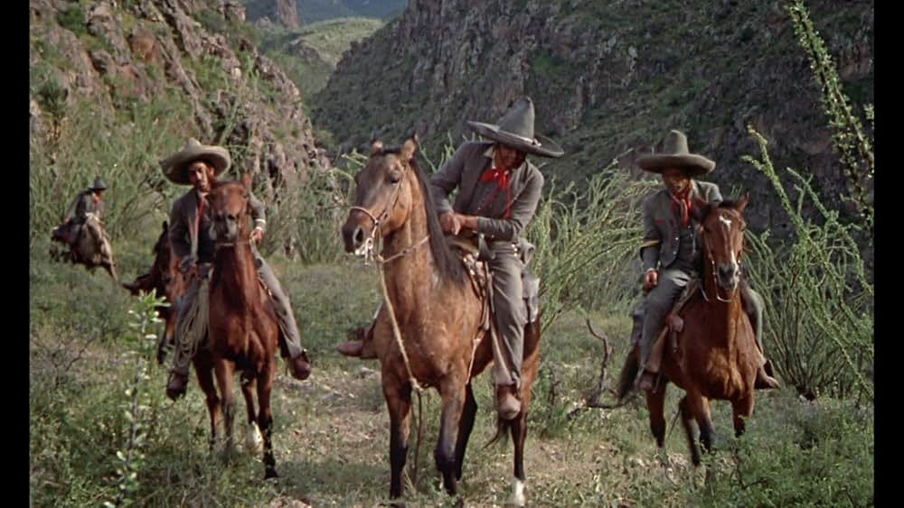 メキシコの暴れん坊の画像