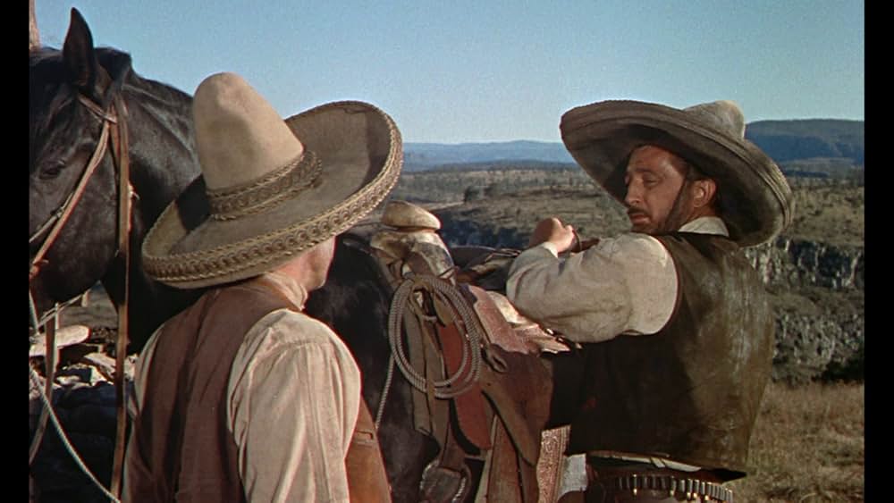 メキシコの暴れん坊の画像