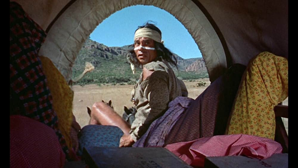 メキシコの暴れん坊の画像