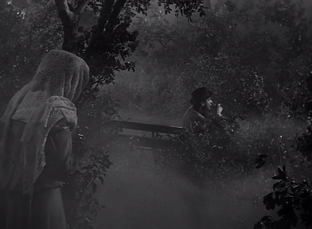 謎の狼女の画像