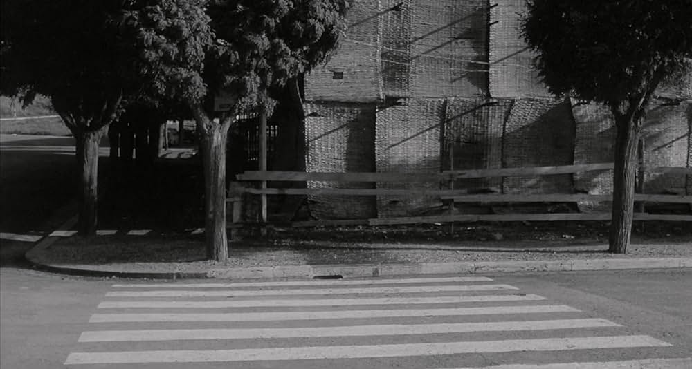 太陽はひとりぼっちの画像