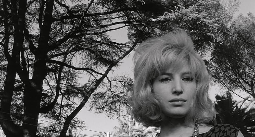 太陽はひとりぼっちの画像