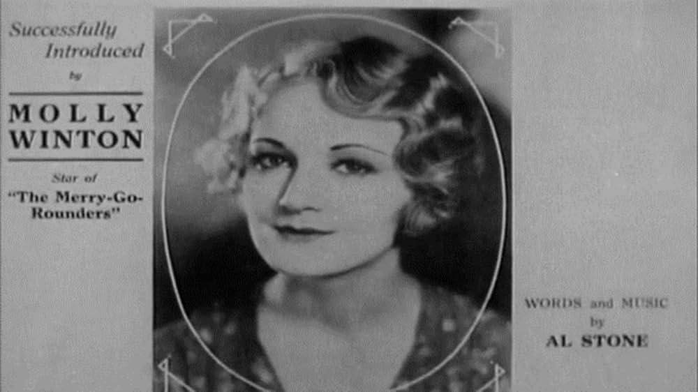 シンギング・フールの画像