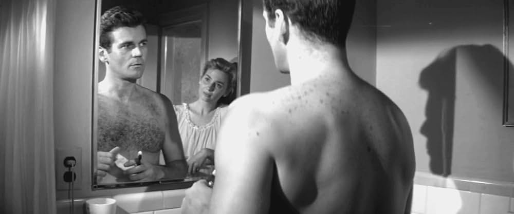 「野望の系列」の画像