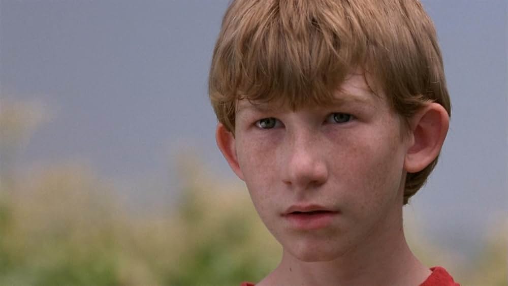 チルドレン・オブ・ザ・コーン5：恐怖の畑の画像