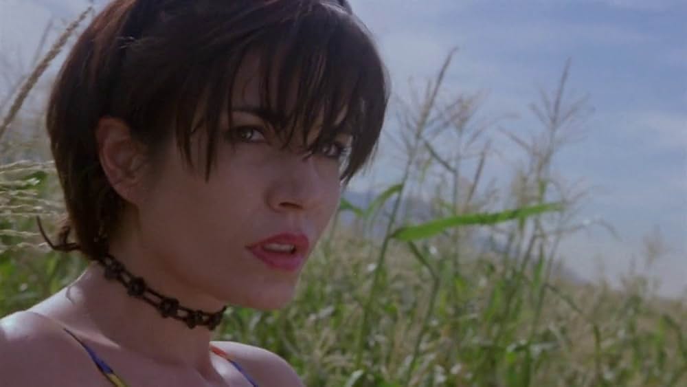 チルドレン・オブ・ザ・コーン5：恐怖の畑の画像