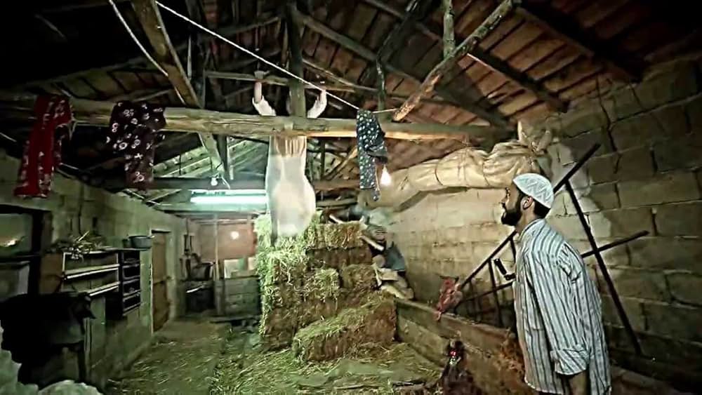 d@bbe: 精霊の呪いの画像