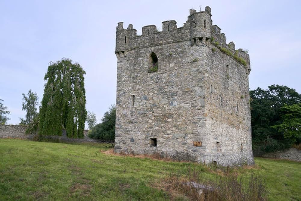 ワンスモア ダブリンの故郷での画像