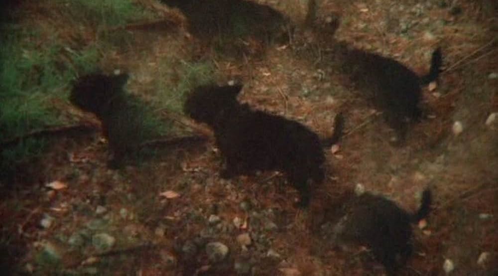 ファントム・エンパイアの画像