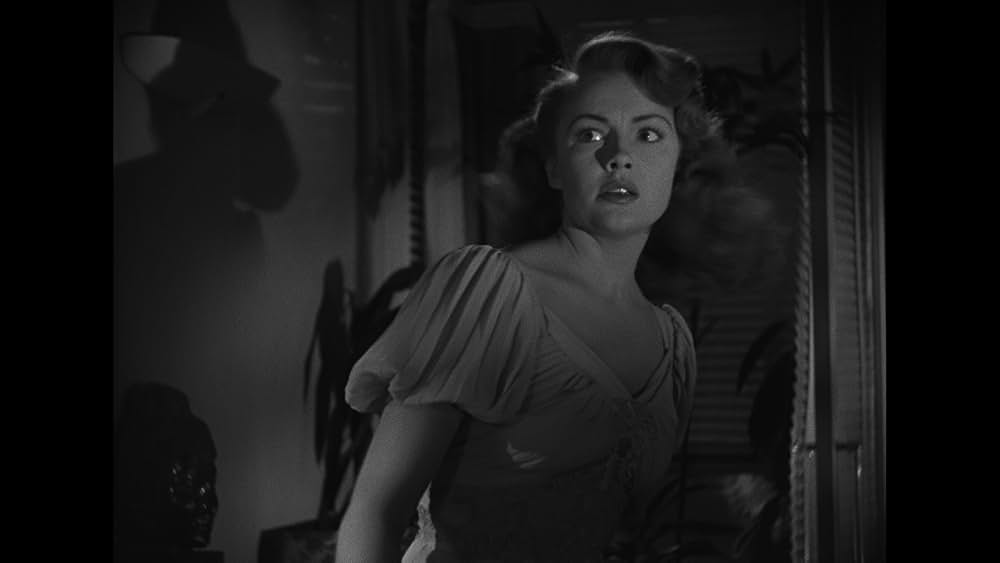 恐怖の一年の画像