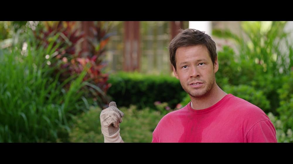 シスターズの画像